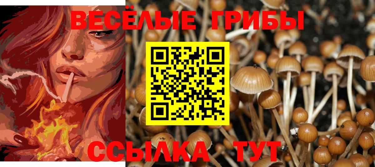 Галлюциногенные грибы мицелий  Галлюциногенные грибы Psilocybe  Вход с VPN  Новый Уренгой 